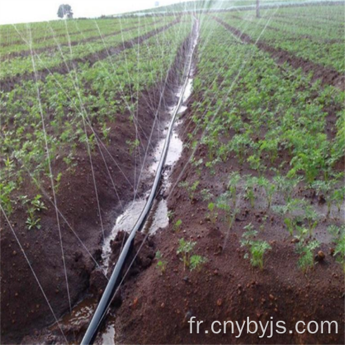 Irrigation de serre de verger de terres agricoles de tuyau de micro-pulvérisation